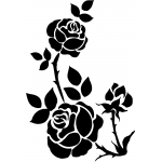 ROSE 11