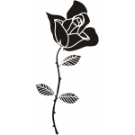 ROSE 3