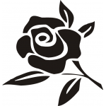 ROSE 5