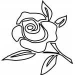 ROSE 6