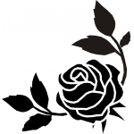 ROSE 7