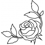 ROSE 8