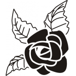 ROSE 9