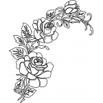 Rose 16