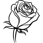 Rose 23