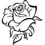 Rose 24