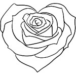 Rose 30