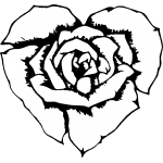 Rose 32