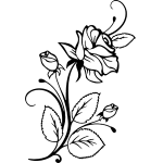Rose 38