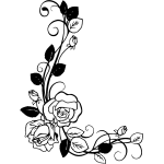 Rose 39