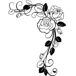 Rose 40