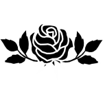 Rose 41