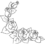 Rose 46