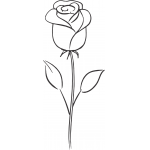 Rose 59
