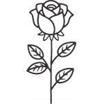 Rose 63