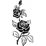 Rose Double