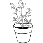 Rose Potted