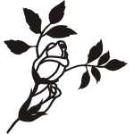 Rose bud 3