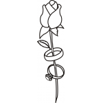 Rose rings