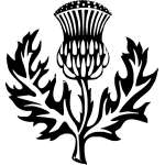 Scotch Thistle