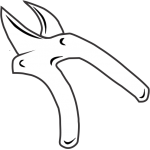 Secataurs