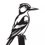 Woodpecker