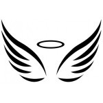Angel Wings with halo