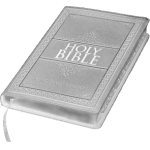 Holy Bible Bronzelife suitable