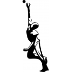 Bowler 3