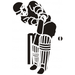 Cricket 2