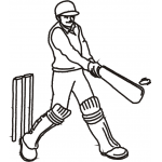 Cricket 3