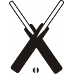 Cricket 4