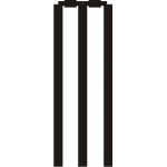 Cricket 8
