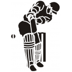 Cricket