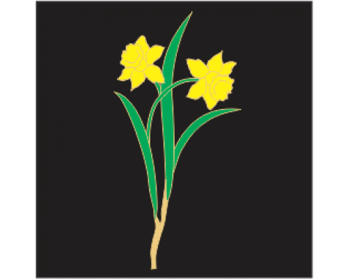 Coloured Motif - Daffodil